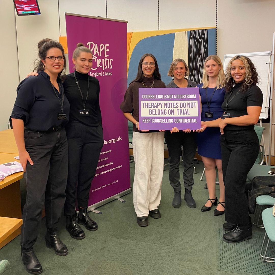 EVAW, Rape Crisis and the Centre for Women's Justice in Parliament